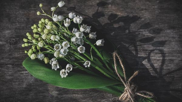 FLOWER OF THE MONTH - LILY OF THE VALLEY