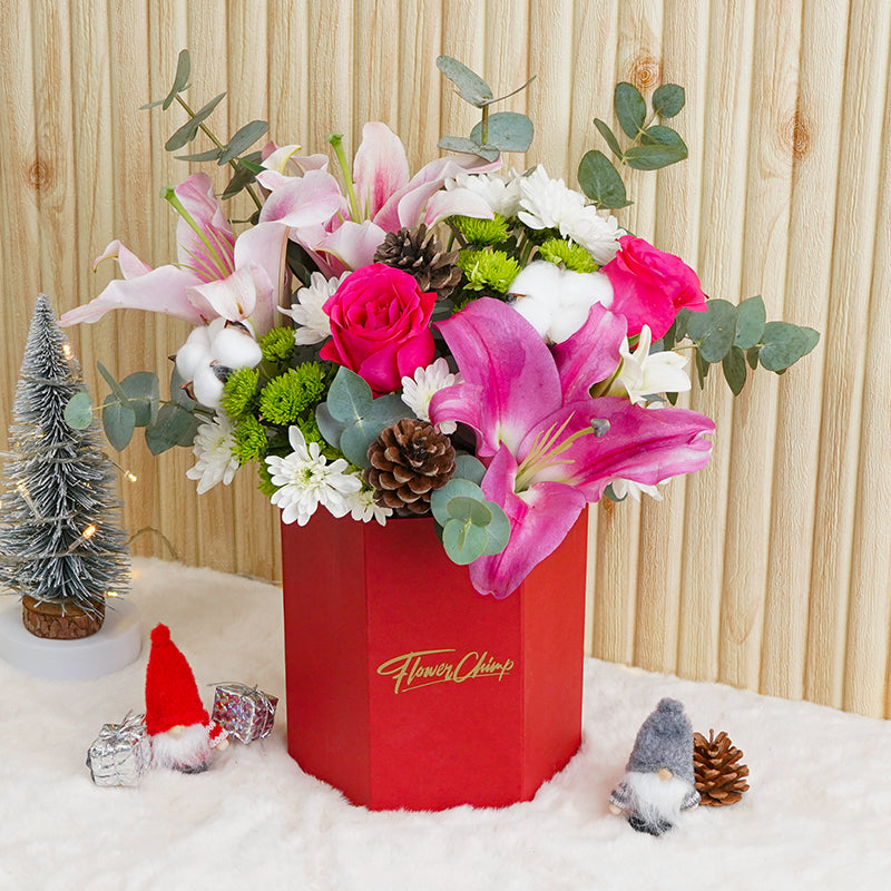 The Best Types Of Christmas Flowers!